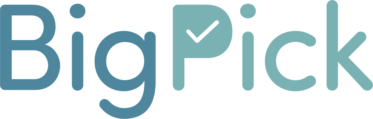 BigPick logo